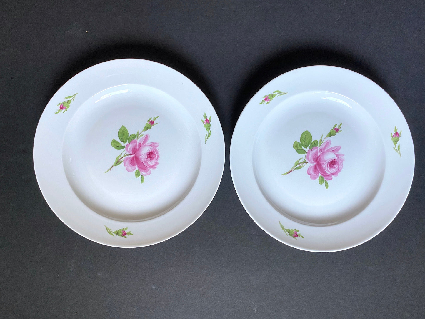 Set of 6 Vintage MEISSEN "Roses" dinner plates, 9 3/8 inches, made in Germany, ca. 1852-1870