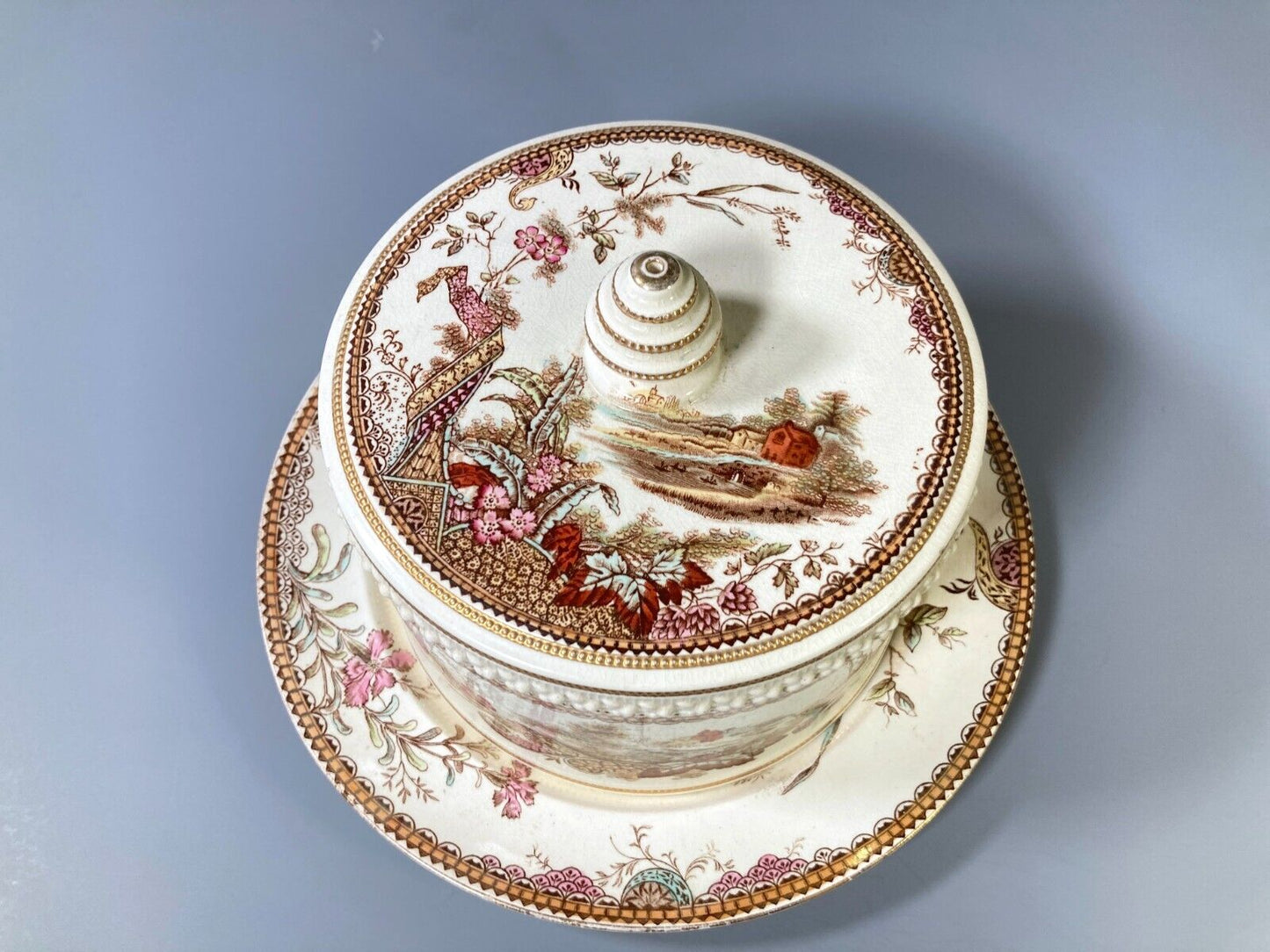 Edge Malkin & Co. Aesthetic Movement "Lisbon" transferware Cheese dish, ca.1888