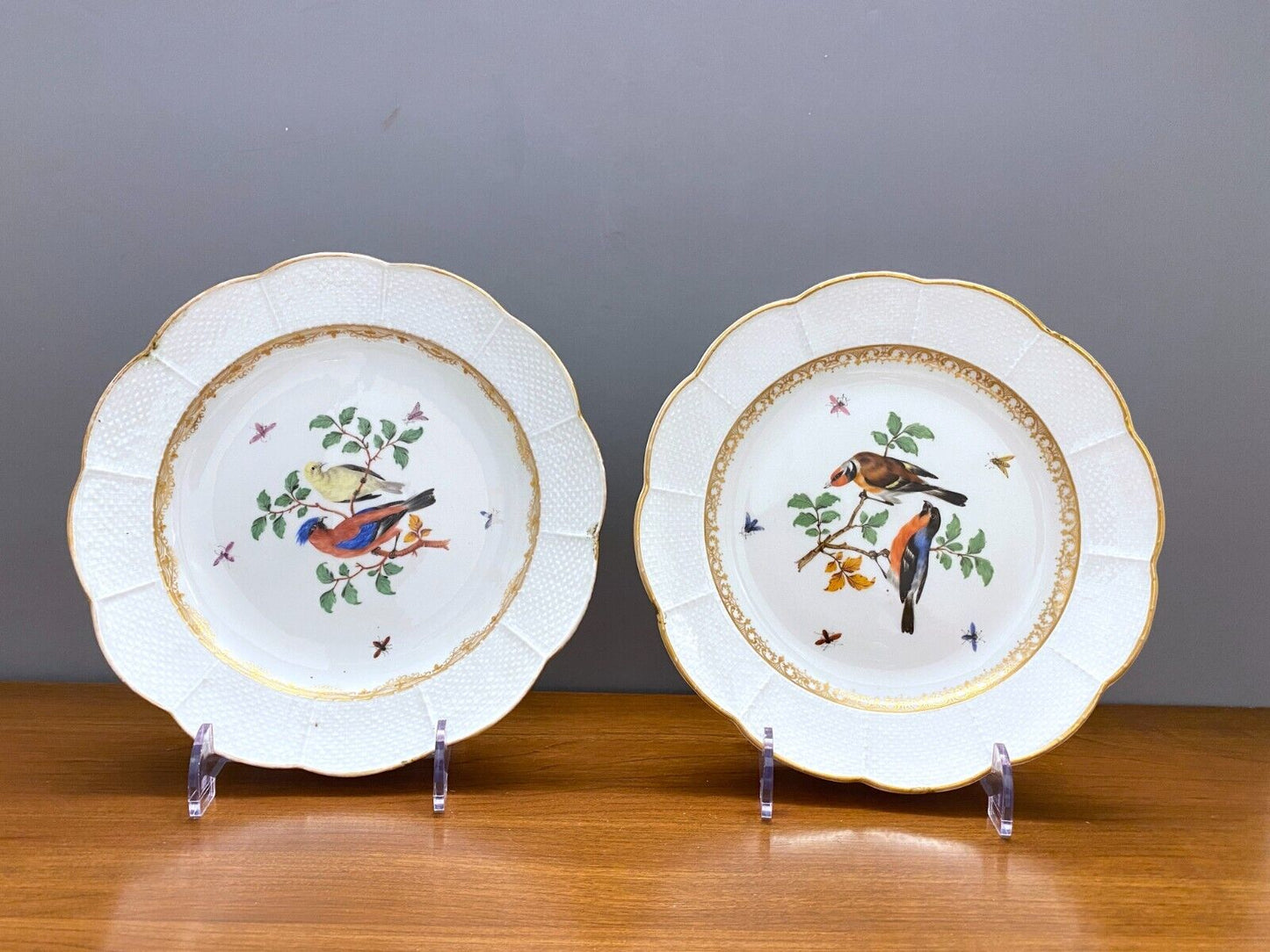 Set 2 x antique Meissen birds and insects plates, gilt rim, 8'',1800s, very rare