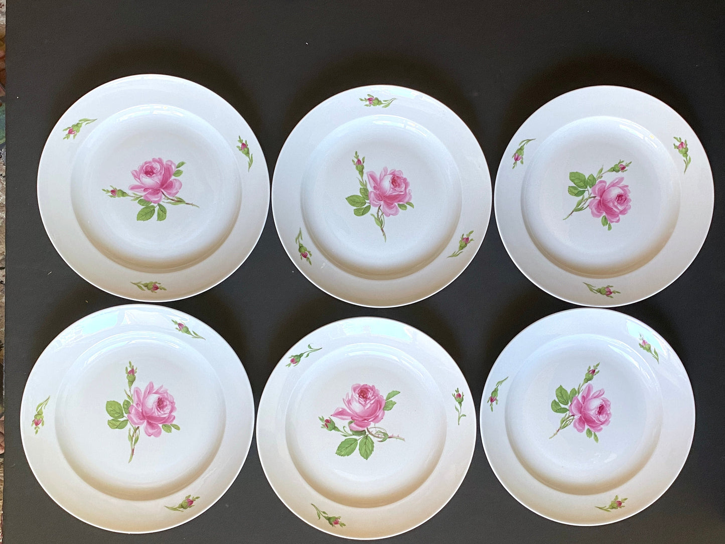 Vintage MEISSEN "Roses" tableware, teacup & saucer set of 8, 9 3/8 inches plates and 6 inches plates, 27 pcs,made in Germany, ca. 1852-1870