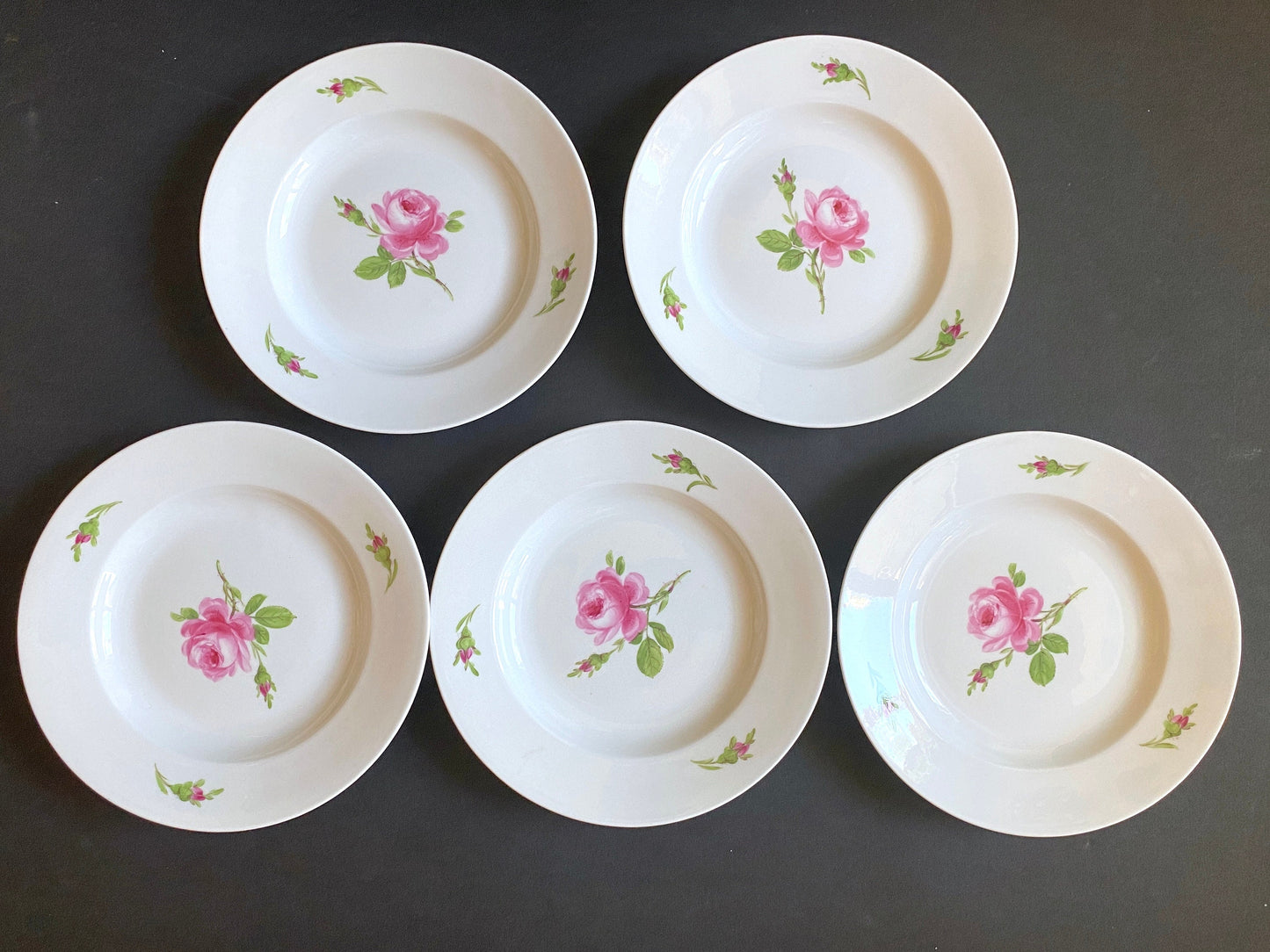 Vintage MEISSEN "Roses" tableware, teacup & saucer set of 8, 9 3/8 inches plates and 6 inches plates, 27 pcs,made in Germany, ca. 1852-1870