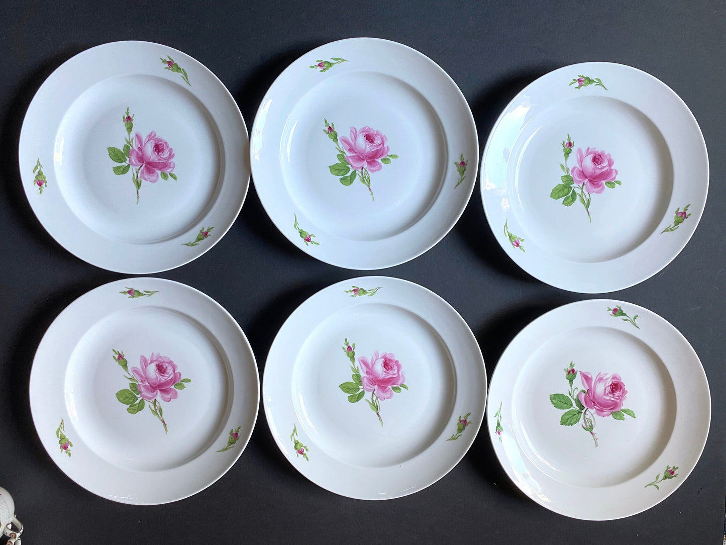 Set of 6 Vintage MEISSEN "Roses" dinner plates, 9 3/8 inches, made in Germany, ca. 1852-1870