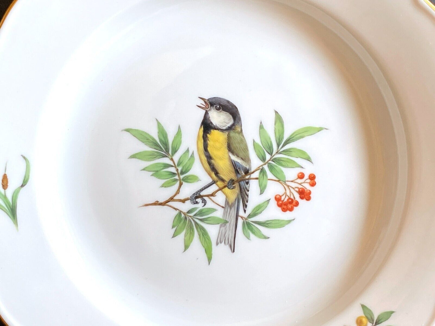 Meissen handpainted birds motif cabinet plates, set of 5, 1st choice, gold rim