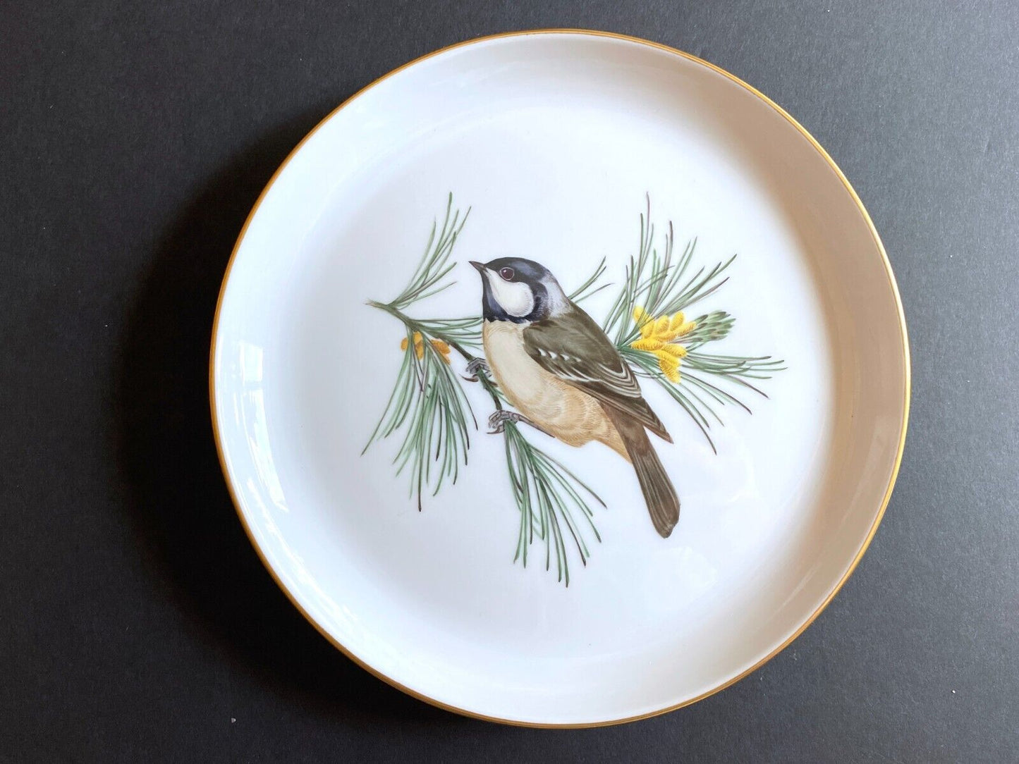 Meissen handpainted birds motif cabinet plates, set of 5, 1st choice, gold rim