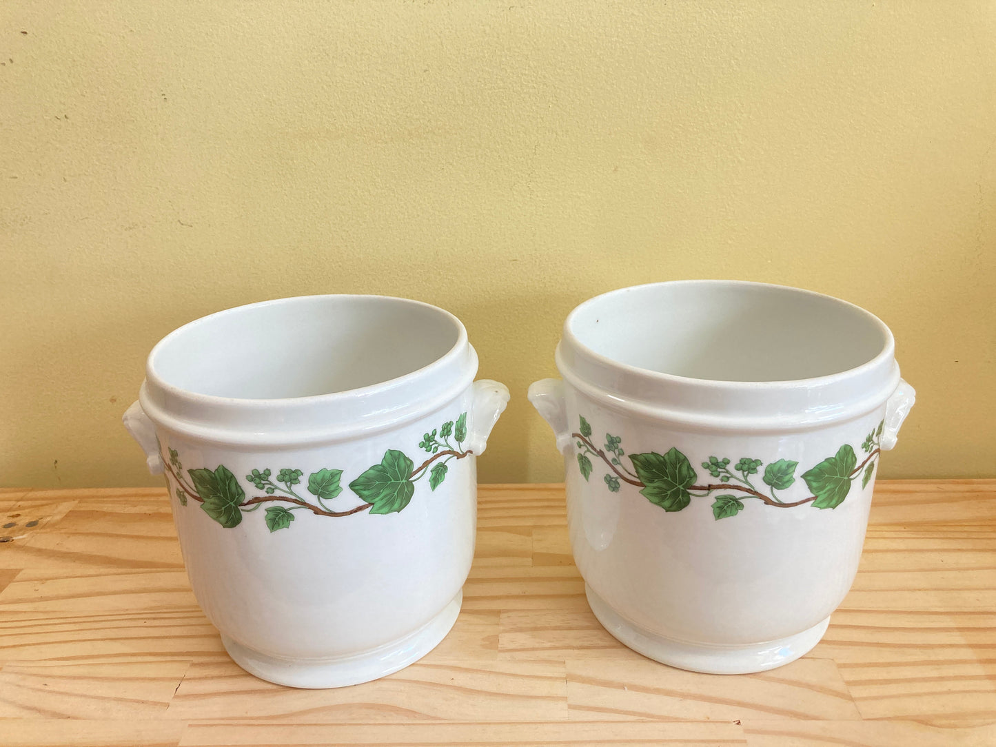 Pair of Porcelain de Paris cachepots, Napoleon III style, grape vine motif, made in France, 7'' H, excellent condition