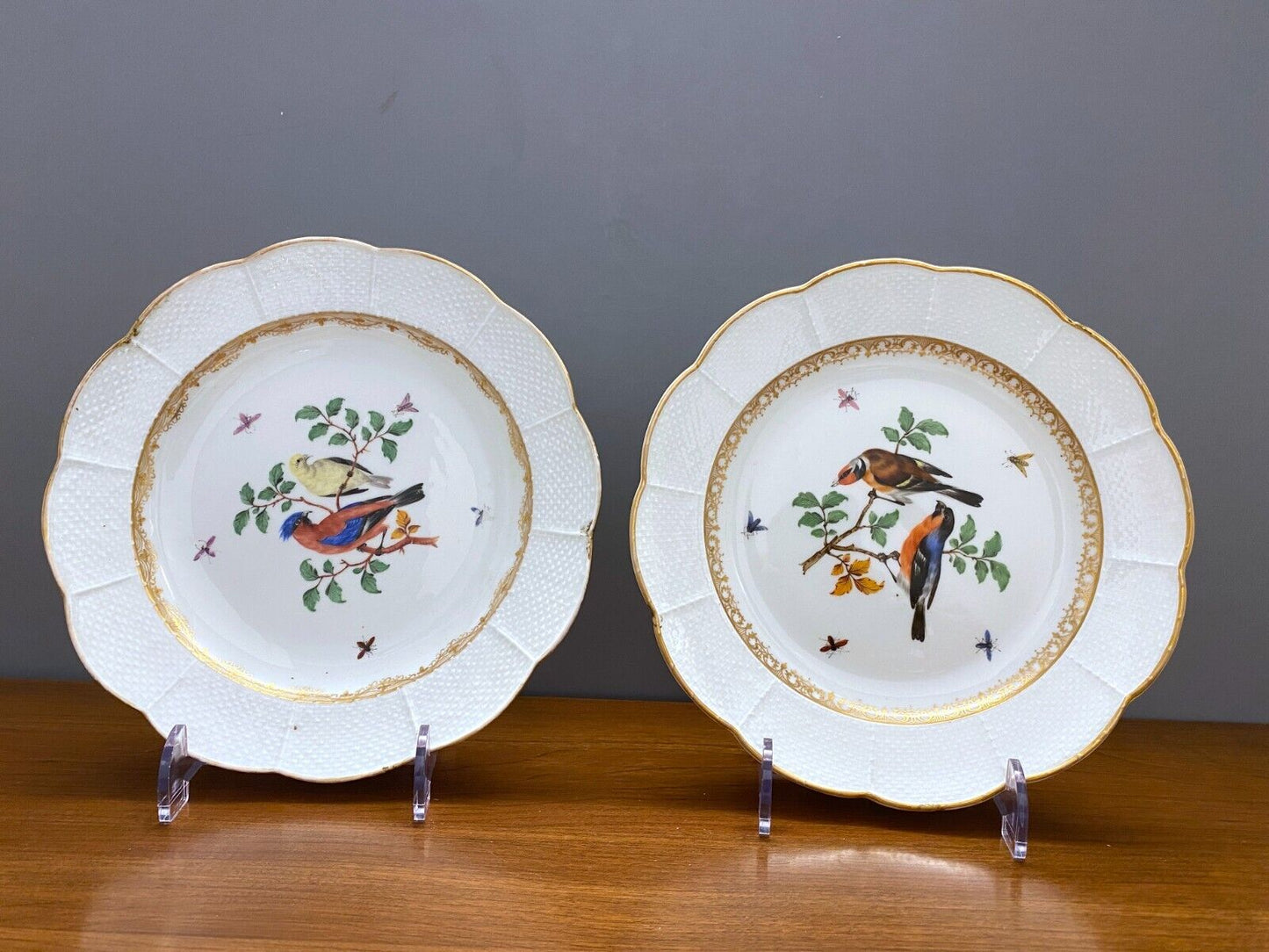 Set 2 x antique Meissen birds and insects plates, gilt rim, 8'',1800s, very rare